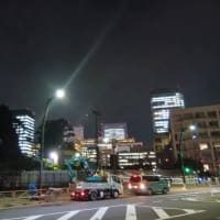20250515新宿御苑テクテク