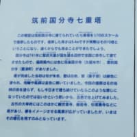 大宰府市の散策記　on　2025-4-9＆4-10　その12 　筑前国分寺跡