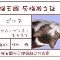 ♪灰猫王国からの贈り物♪