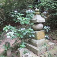関西花の寺２５ゕ寺　第１５番・岩船寺