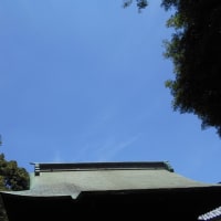 久々に晴れた東京～ ＼(＾▽＾)／　北海道展で三方六のバームクーヘンと百鬼の購入～