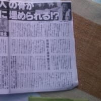 フィリピン近年のニュース