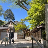 西国第二十番札所　善峯寺（よしみねてら）