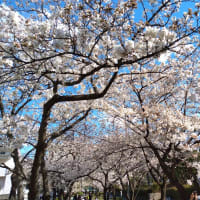 賃貸物件の原状回復費用は高くつく
