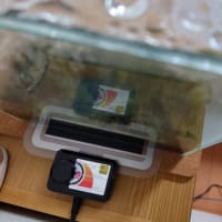 冬場の保温