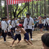 千一夜第3章第401夜　春祭り子ども角力大会