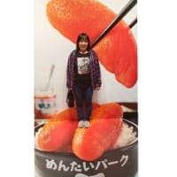 こんなお土産いかが？