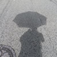 お天気雨　la passage pluvieux avec le soleil.
