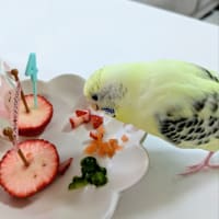 お誕生日🎂