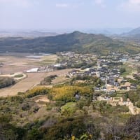 春蘭の小浜山