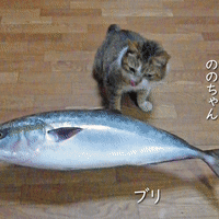 サンショウの実