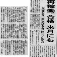 再稼働、伊方か玄海かどちらが先に運転される！？