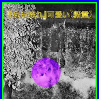 🐉🌈〖洗足流れ〗に可愛い【✨精霊✨】出現❢❢