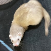 本日の癒しをお届け☆彡