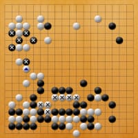 Master対棋士 第31局 - 白石勇一の囲碁日記
