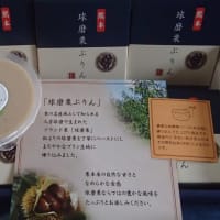 株主優待　ヤマハ発動機から