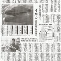 近代未来のリアル情報　6