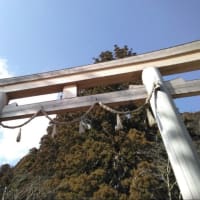戸隠神社　中社　中社五斎神社　三本杉✨　へお礼参りに行きました　その②