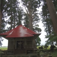 石動神社の親スギ