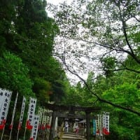 7月例会は正渓寺から大岩不動へ