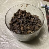 雪国の春、到来