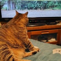 恵みの雨と魔の金曜日(T_T)