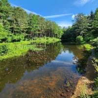 初夏の開田高原