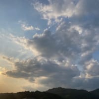 水やりの季節がやってきた