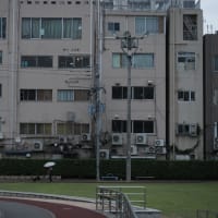 天文館で飲んだ