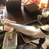 年明けも大物が釣れ続けています