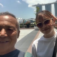 今日はSingapore観光。