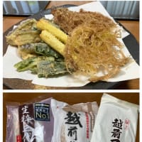 シャドークィーンとノーザンルビー♪