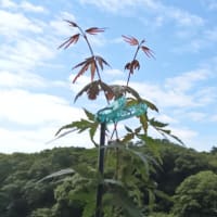 水無月始めの空