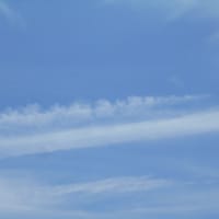 梅雨はどこに？ (・_・)......今日は猛暑日～ 蒟蒻ゼリーを買ってきた＾＾