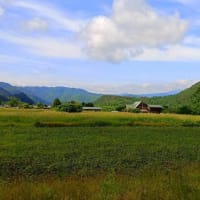 御嶽山は残念ながら　雲の中です