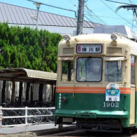 広島電鉄 江波(2024.7.7) 旧京都市電 １９０２ ８号線 横川駅行き ありがとう１９０２号ＨＭ