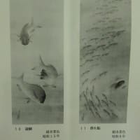改装にて締め直しされた作品　游鯛図　その4　中村左洲筆　昭和15年　その１４