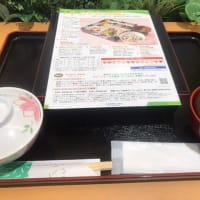 三条市　人間ドック　すこやか弁当