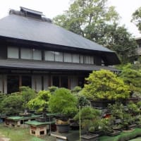 徳冨蘆花著「みみずのたはこと」に出てくる秋山喜左衛門の屋敷