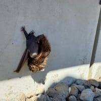 モアベターよ。