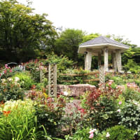 強羅公園