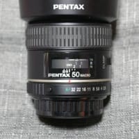 smc PENTAX D FA MACRO 50mmはもっと評価されても良いレンズ。