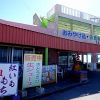 07/08旅日記：宮古島への旅3日目－①（池間大橋、）