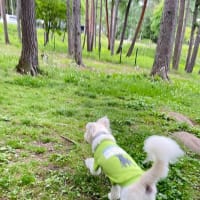 6月のお出かけ２