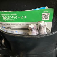 gooブログ　サービス終了…