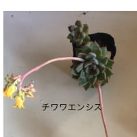 今日いち-2025年5月3日