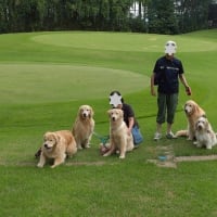 富士でプール遊び