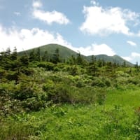 ２０２５年７月９日　北八甲田　田茂萢岳のようす