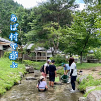 夏休み「魚のつかみどり体験 ／ ザランタンあば村」岡山県津山市阿波 240725