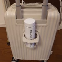 多機能キャリーバックの今